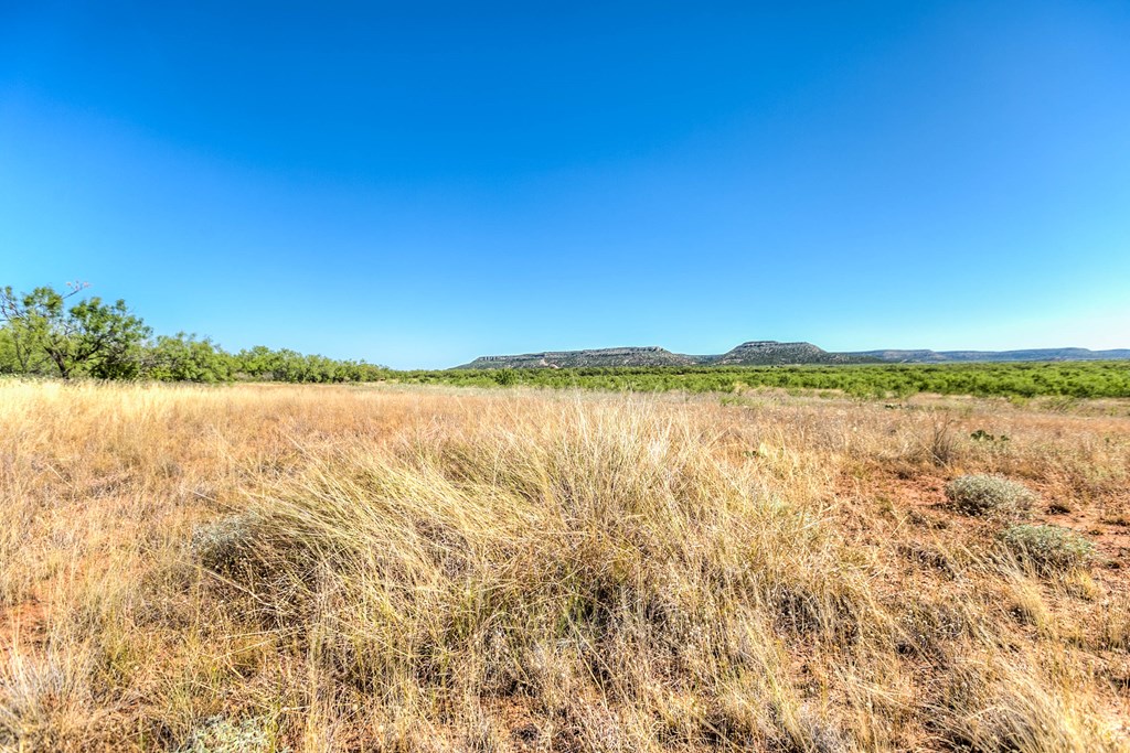 0000 Ranch Rd 1672, Robert Lee, Texas image 19