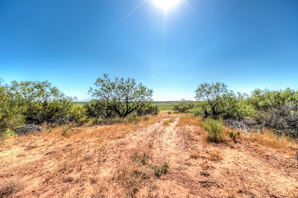 0000 Ranch Rd 1672, Robert Lee, Texas image 15