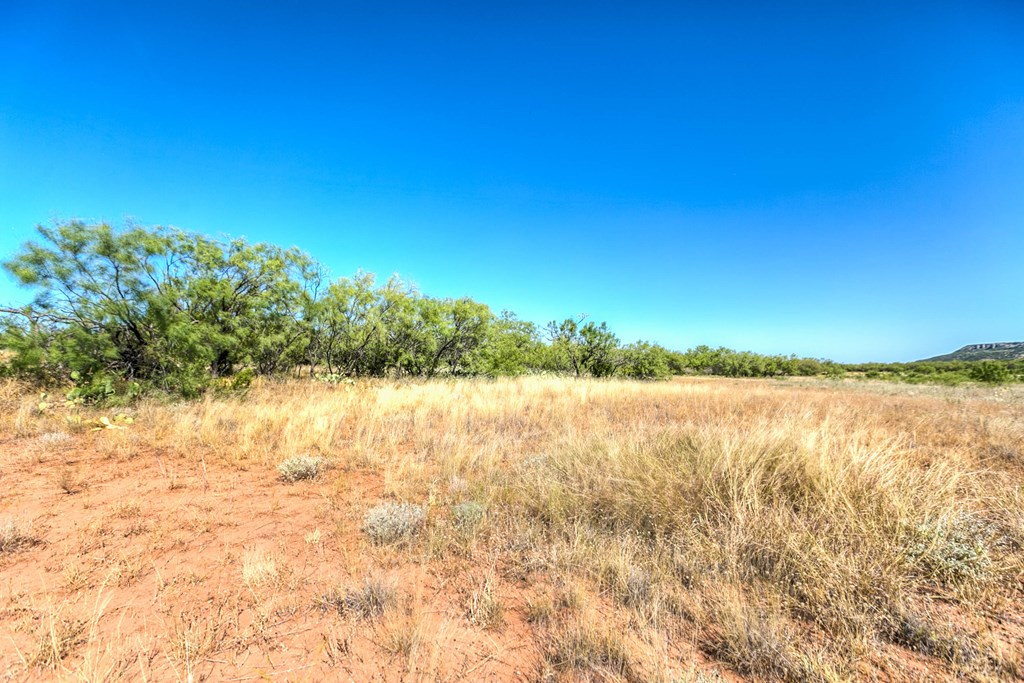 0000 Ranch Rd 1672, Robert Lee, Texas image 18