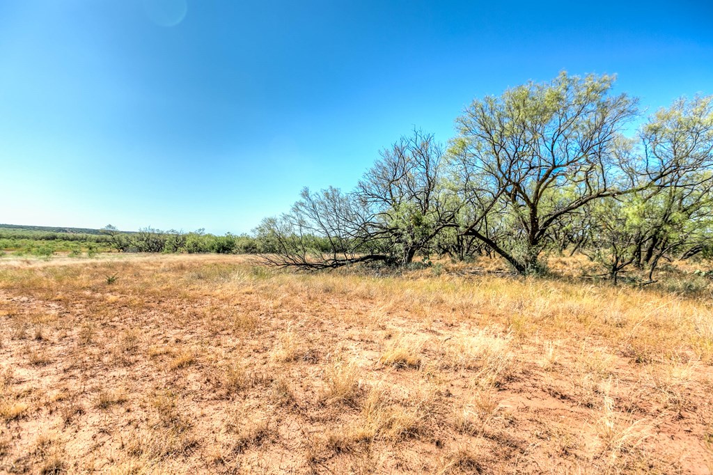 0000 Ranch Rd 1672, Robert Lee, Texas image 17