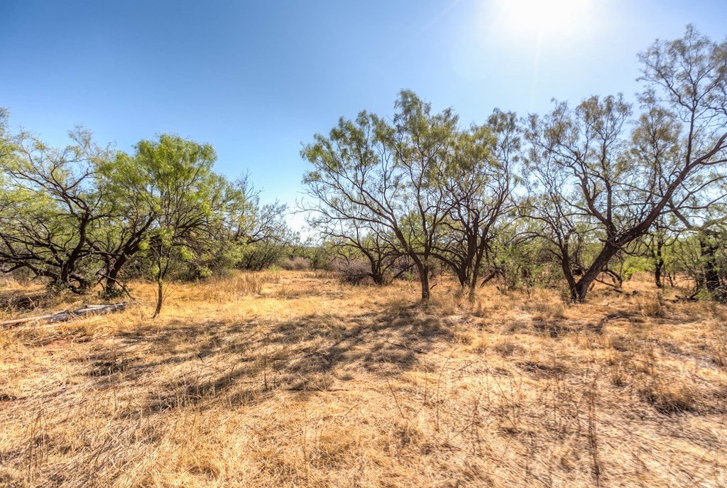 0000 Ranch Rd 1672, Robert Lee, Texas image 14