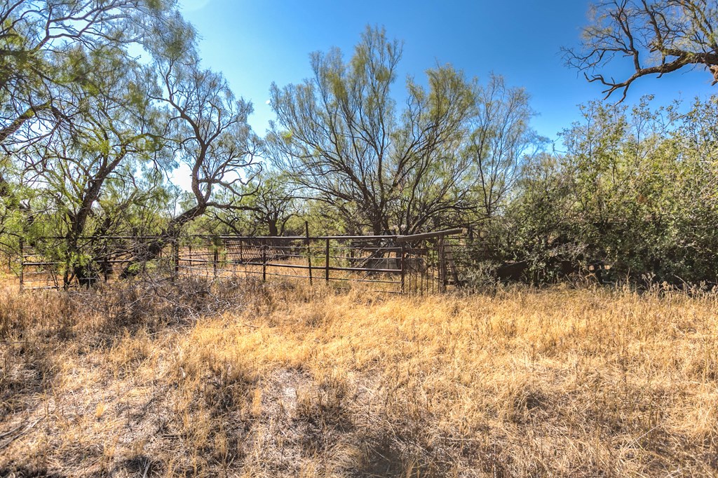 0000 Ranch Rd 1672, Robert Lee, Texas image 12