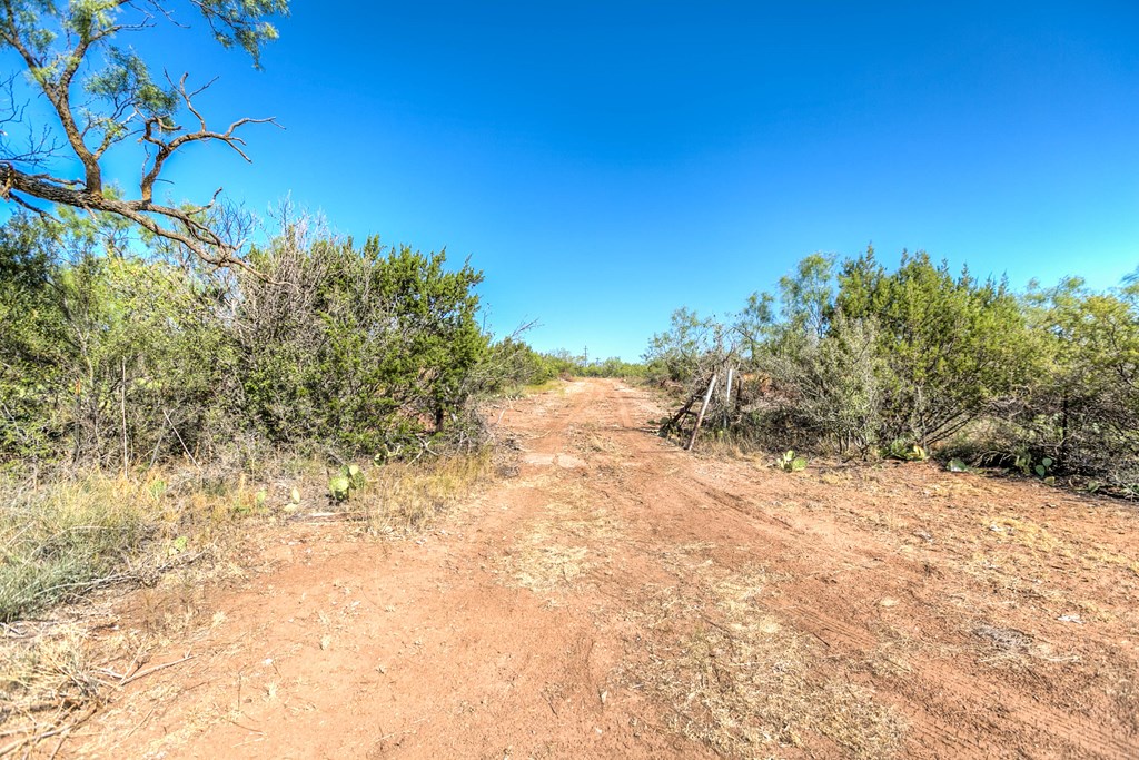 0000 Ranch Rd 1672, Robert Lee, Texas image 9