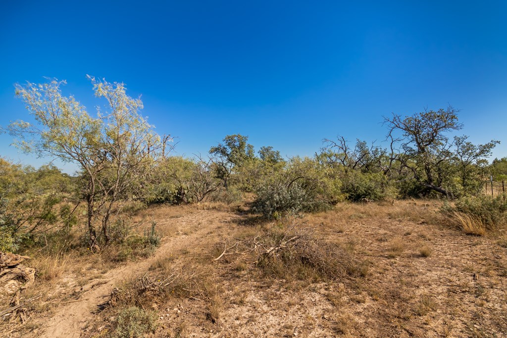 00 Timber Trail, Eden, Texas image 31