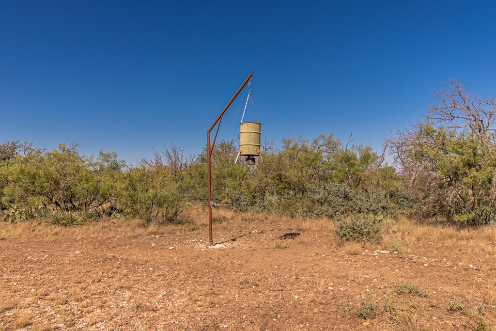 00 Timber Trail, Eden, Texas image 4