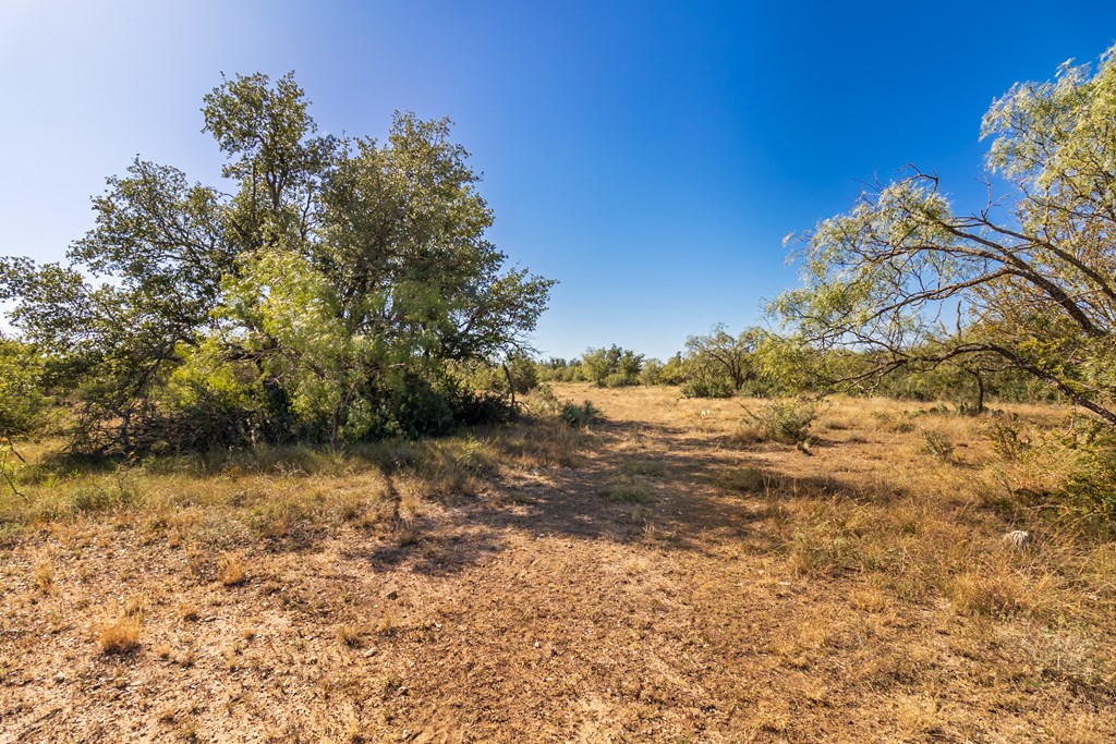 00 Timber Trail, Eden, Texas image 14