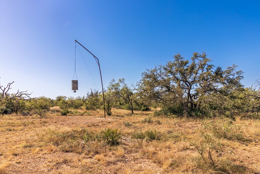 00 Timber Trail, Eden, Texas image 20