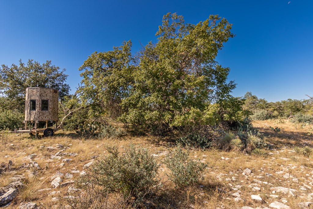 00 Timber Trail, Eden, Texas image 29