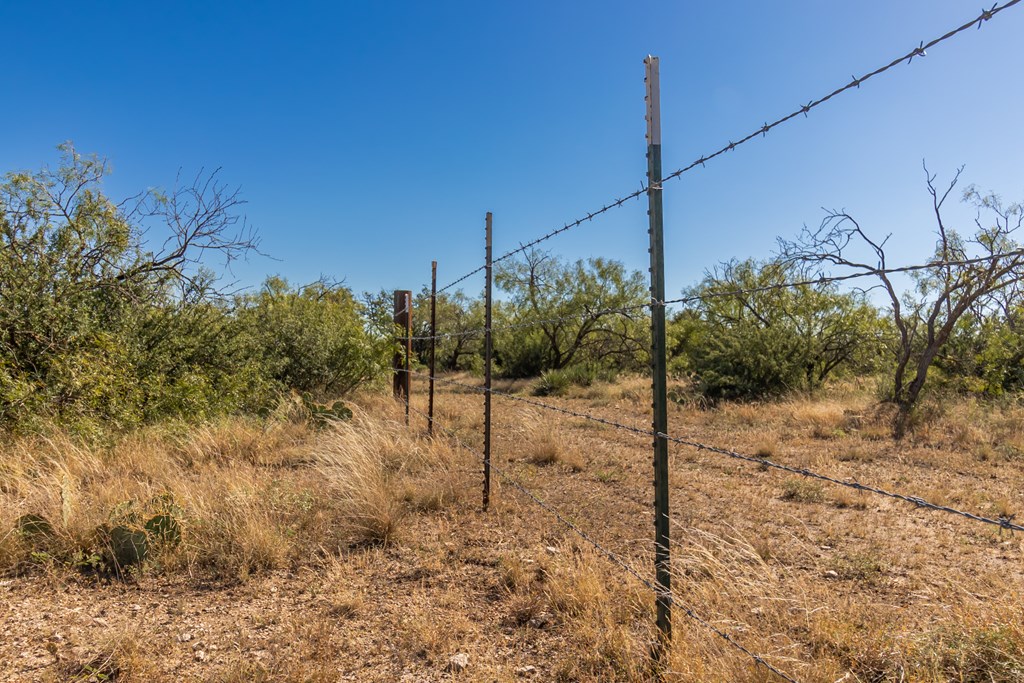 00 Timber Trail, Eden, Texas image 23