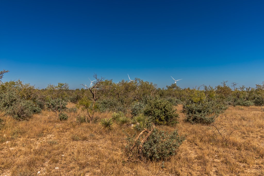 00 Timber Trail, Eden, Texas image 25