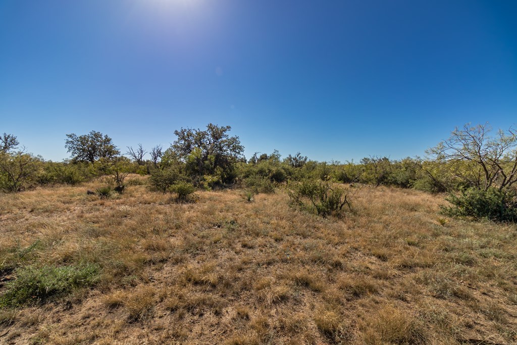 00 Timber Trail, Eden, Texas image 27