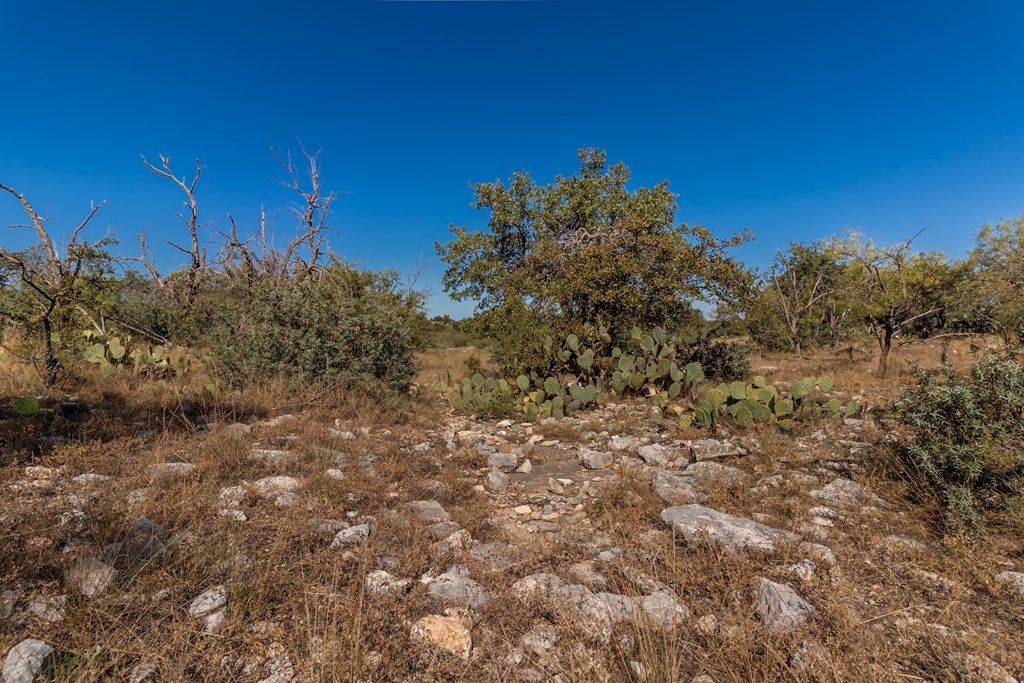 00 Timber Trail, Eden, Texas image 28