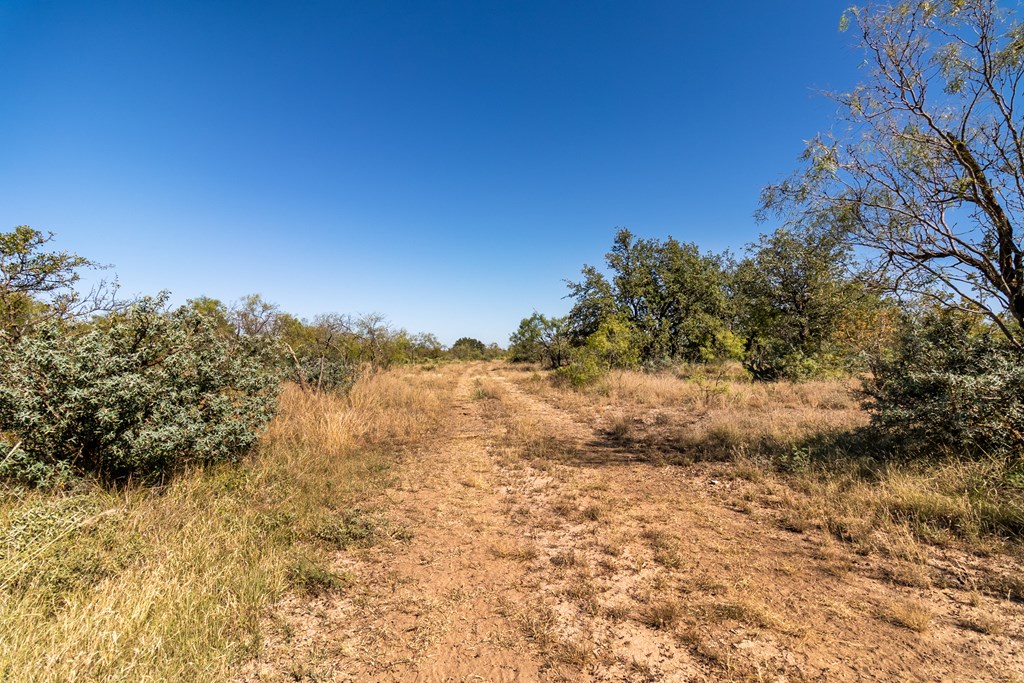 00 Timber Trail, Eden, Texas image 19