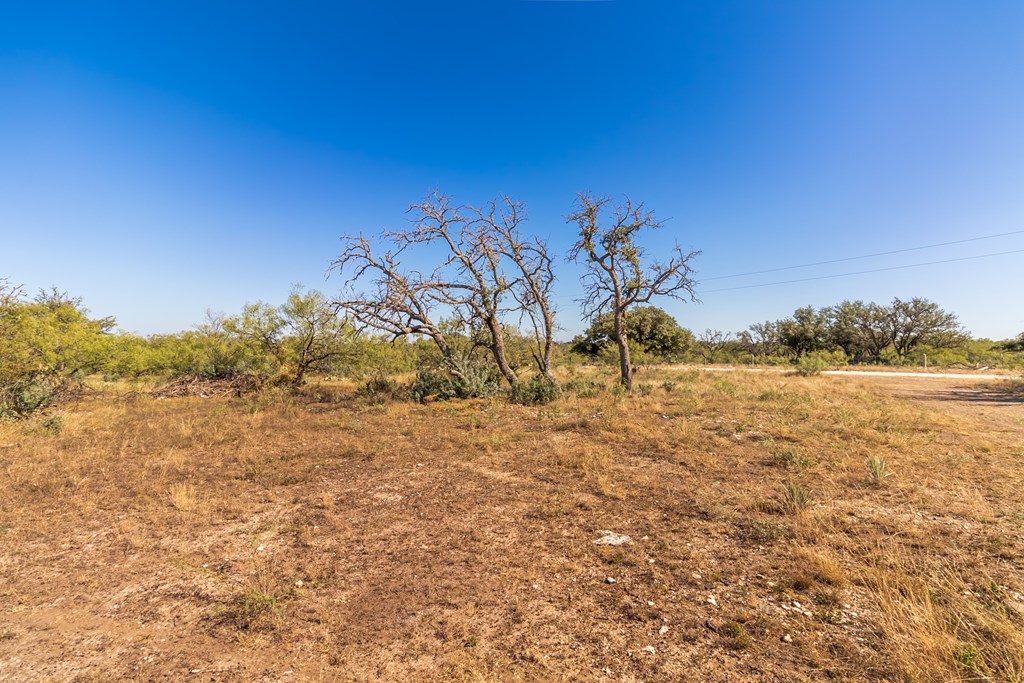 00 Timber Trail, Eden, Texas image 11