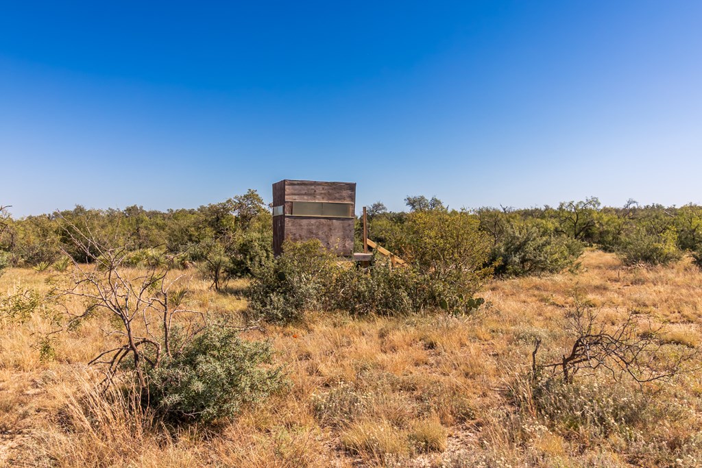 00 Timber Trail, Eden, Texas image 21