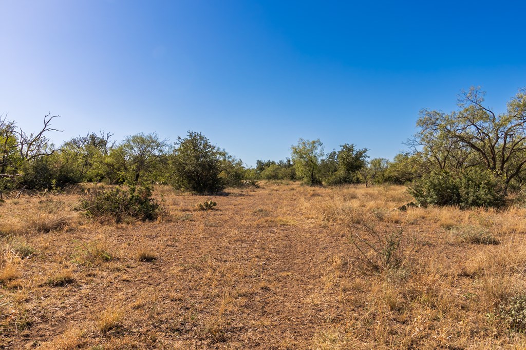 00 Timber Trail, Eden, Texas image 15