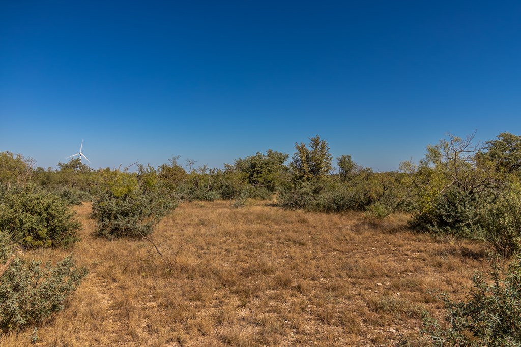 00 Timber Trail, Eden, Texas image 24