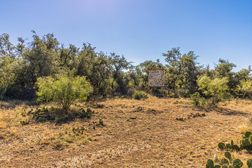 00 Timber Trail, Eden, Texas image 1