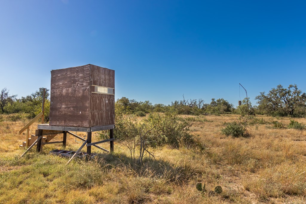 00 Timber Trail, Eden, Texas image 22