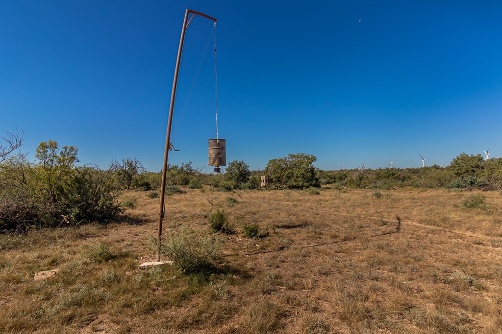 00 Timber Trail, Eden, Texas image 26