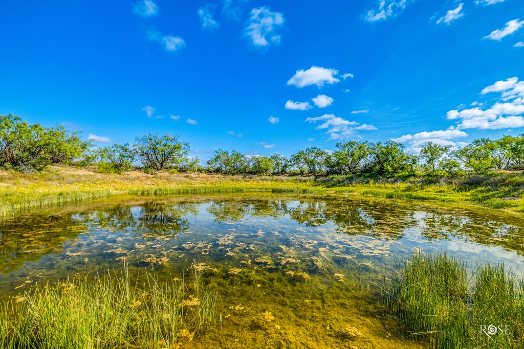 0000 Hwy 83, Paint Rock, Texas image 9