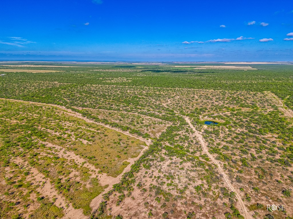 0000 Hwy 83, Paint Rock, Texas image 10