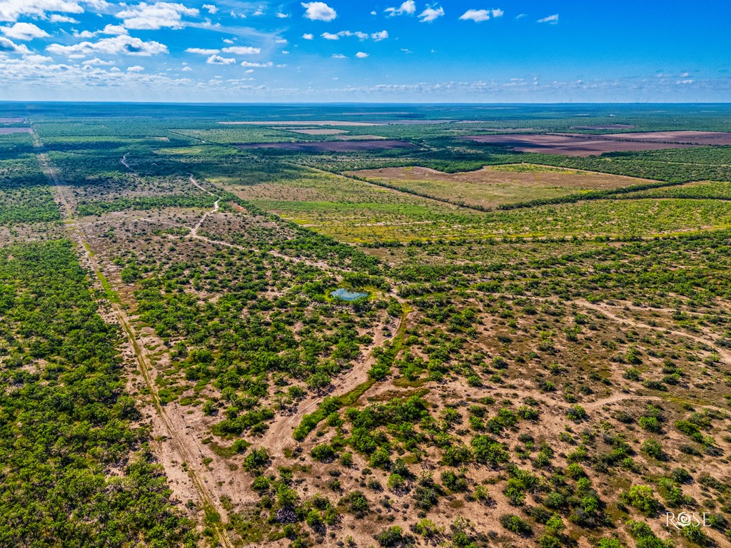 0000 Hwy 83, Paint Rock, Texas image 5