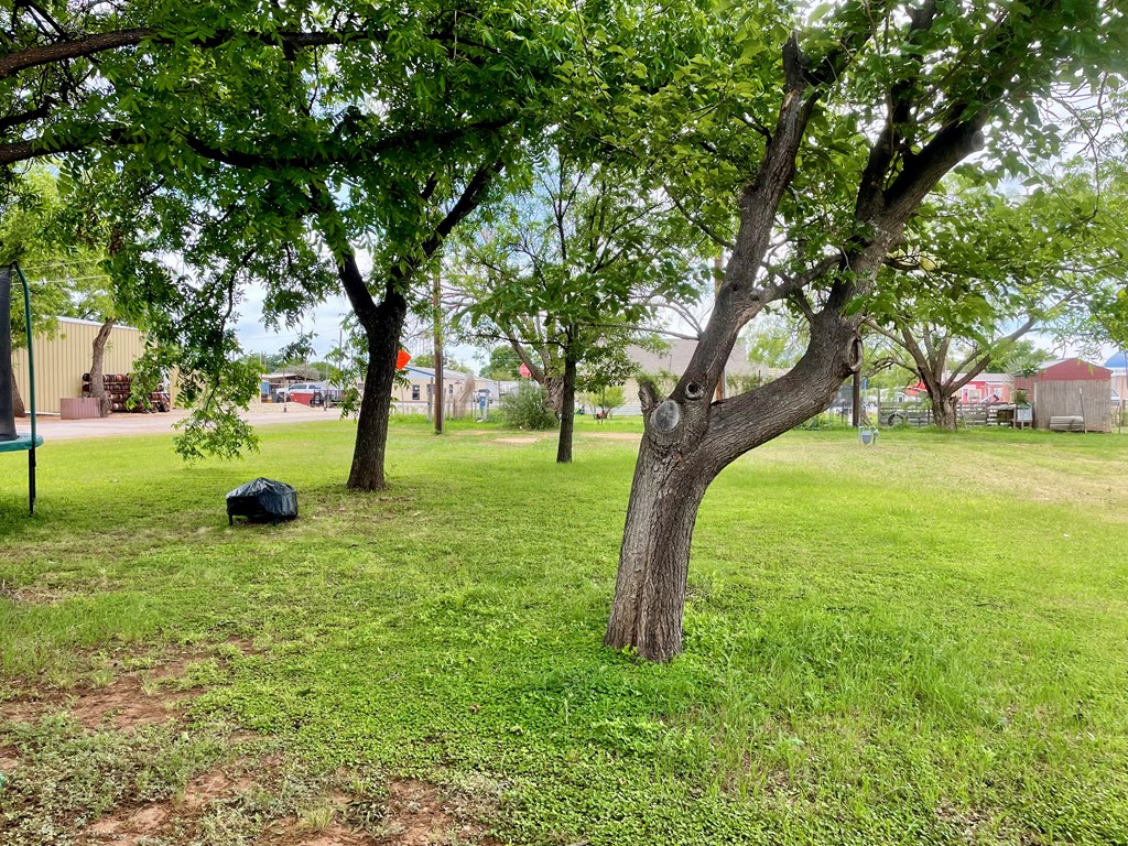201 N Franklin St, Bronte, Texas image 12