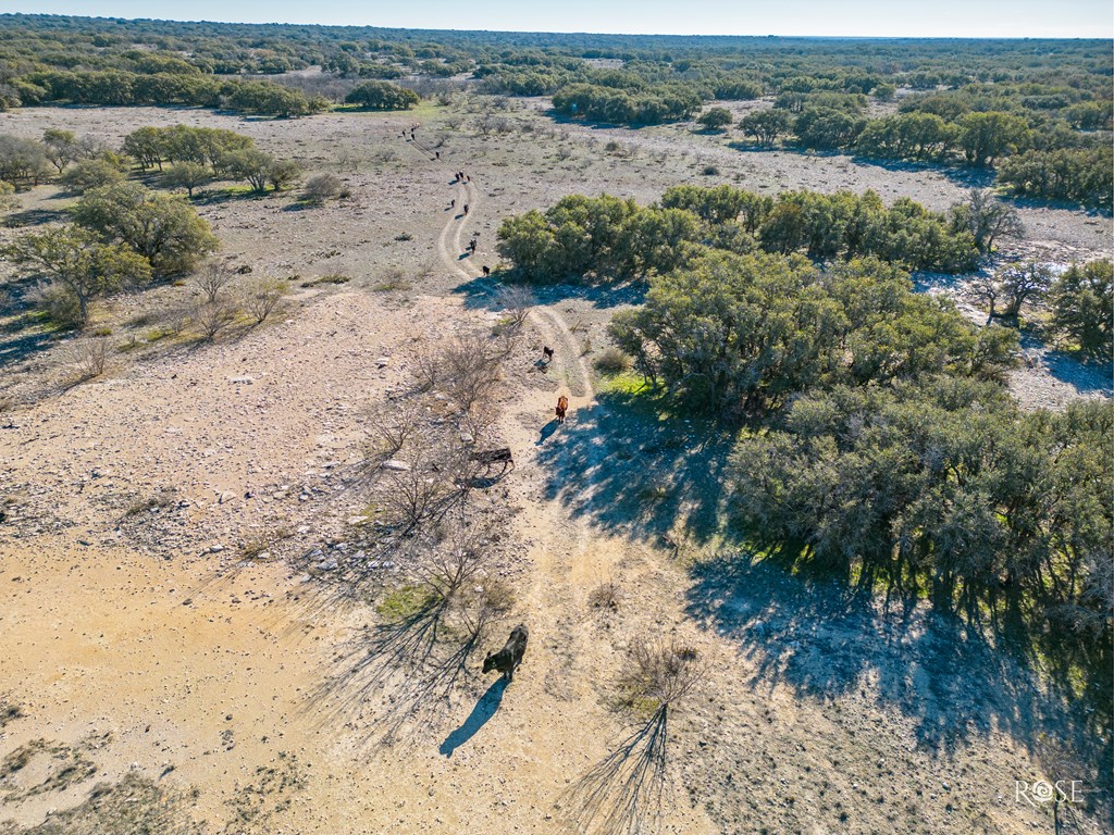 6199 Ranch Rd 864, Sonora, Texas image 7