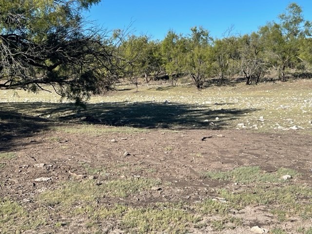 9349 Hwy 190, Eldorado, Texas image 8