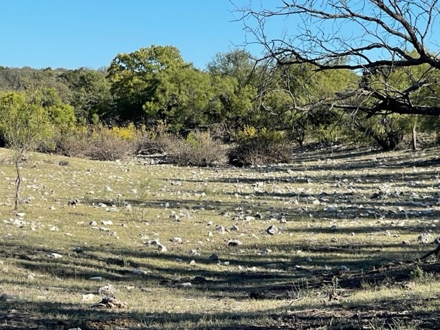 9349 Hwy 190, Eldorado, Texas image 2