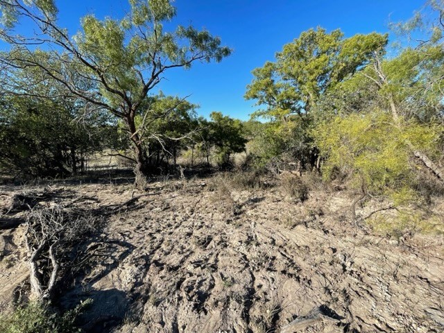 9349 Hwy 190, Eldorado, Texas image 28