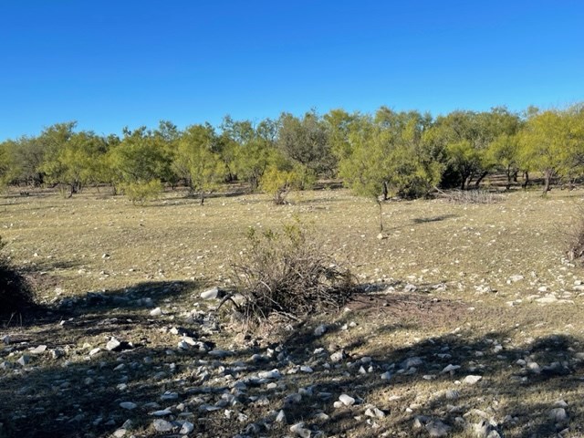 9349 Hwy 190, Eldorado, Texas image 3