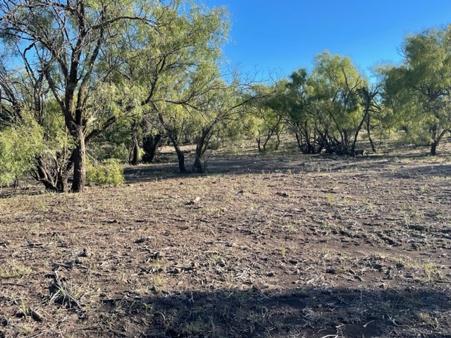 9349 Hwy 190, Eldorado, Texas image 12