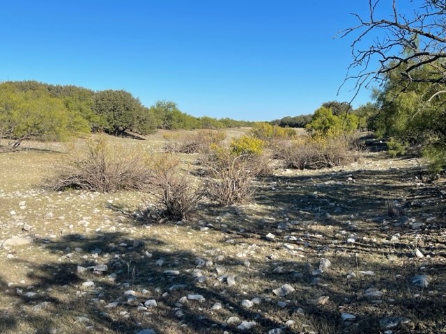 9349 Hwy 190, Eldorado, Texas image 5