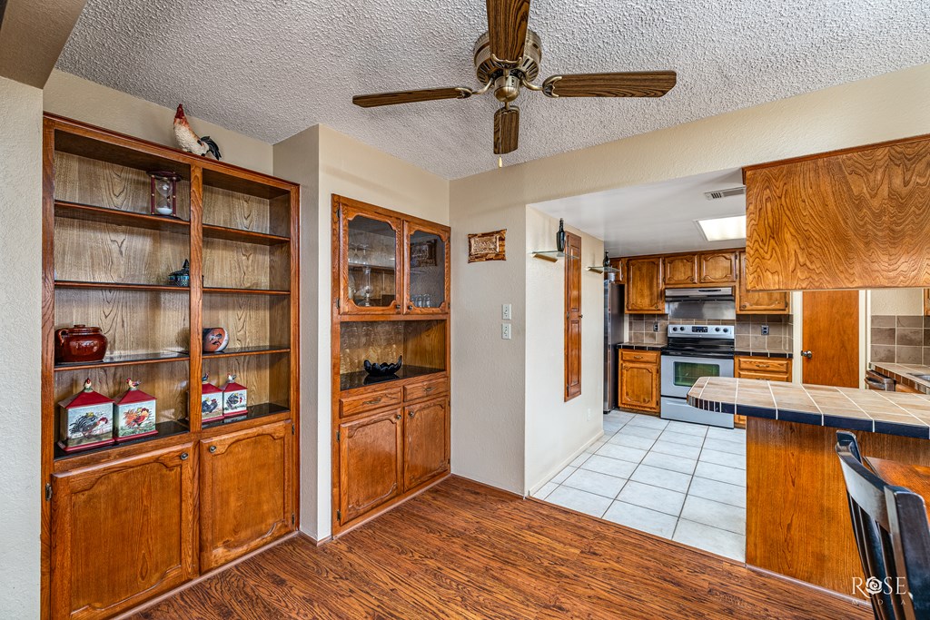 1729 Parkview Dr, San Angelo, New Mexico image 13