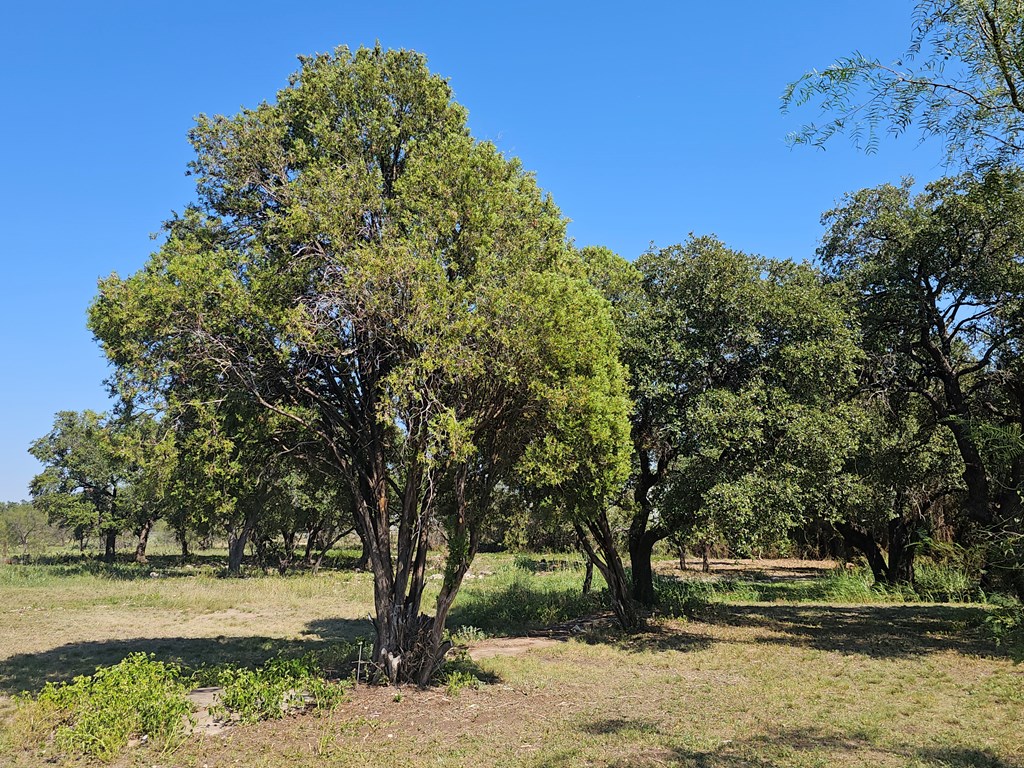 1120 E Broadway St, Eden, Texas image 5