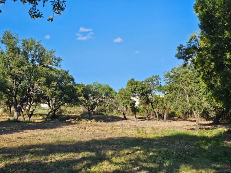 1120 E Broadway St, Eden, Texas image 8