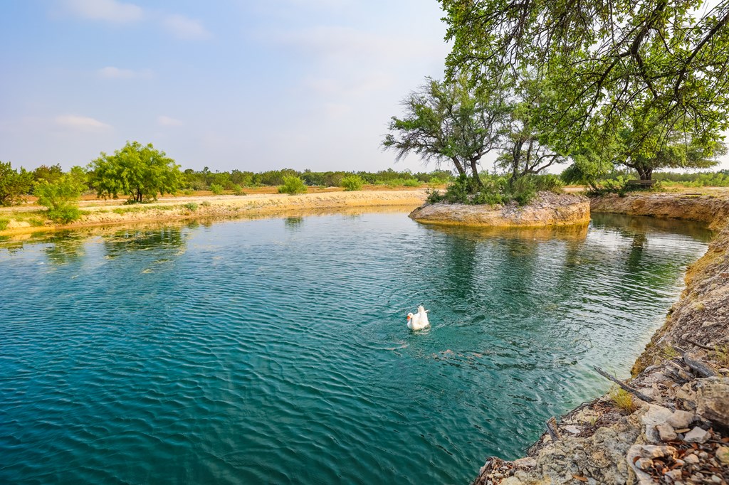 N/A County Rd 102, Ozona, Texas image 12