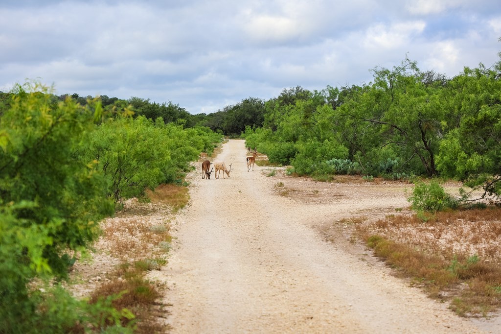 N/A County Rd 102, Ozona, Texas image 33