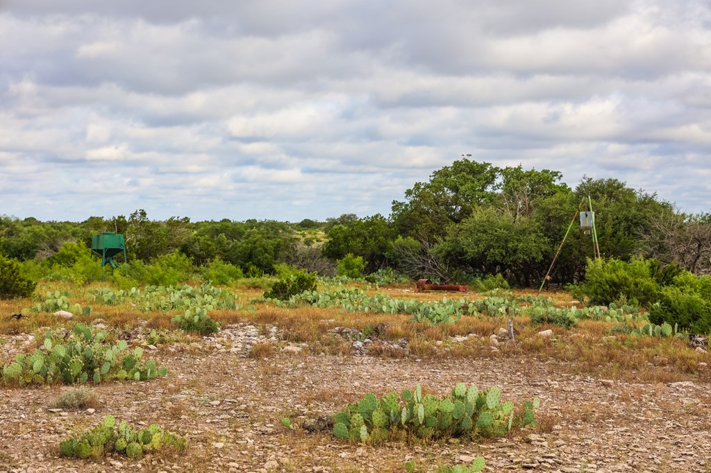 N/A County Rd 102, Ozona, Texas image 7