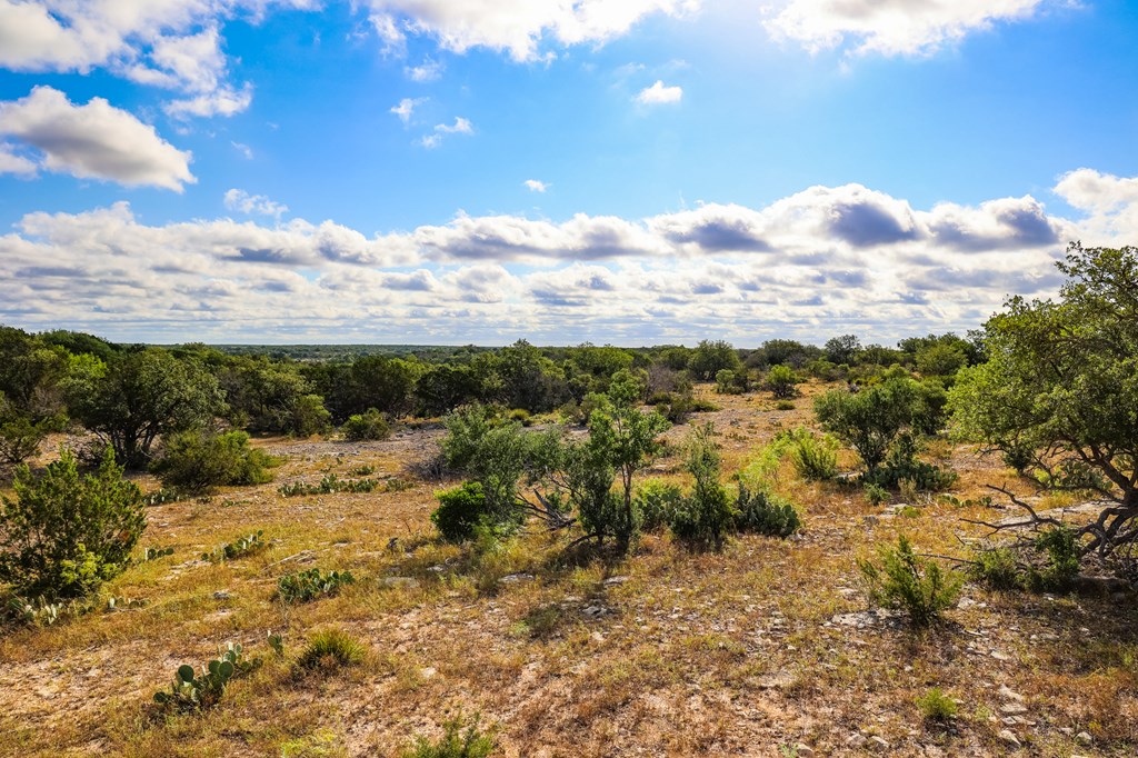 N/A County Rd 102, Ozona, Texas image 5