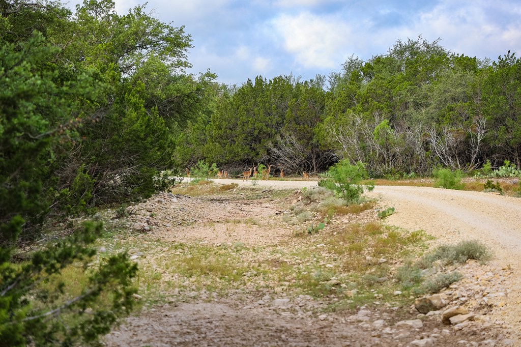 N/A County Rd 102, Ozona, Texas image 32