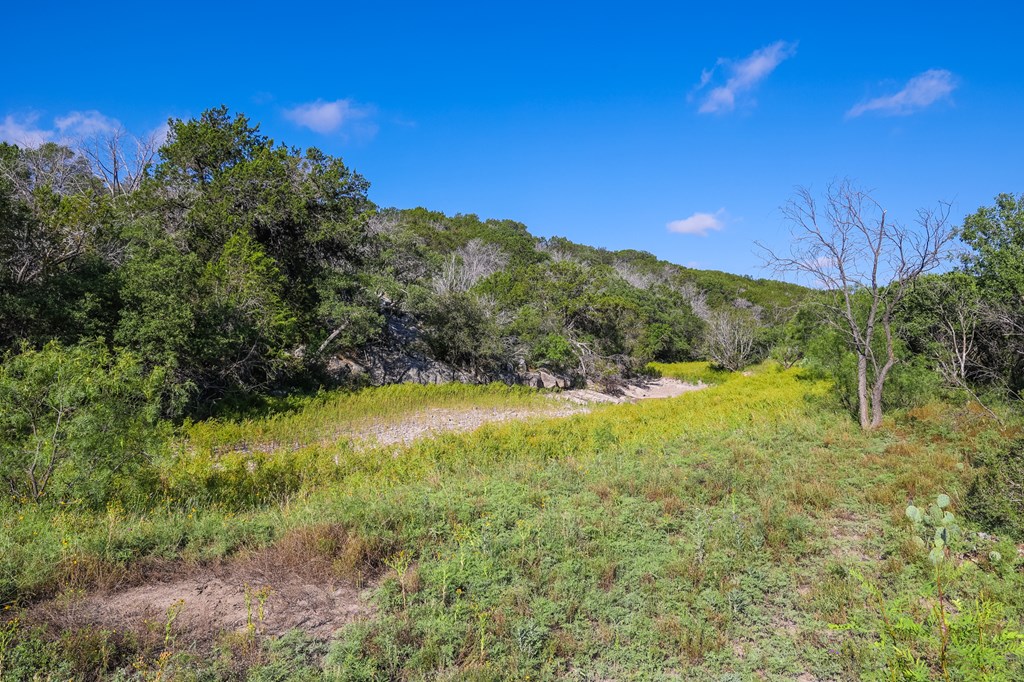 N/A County Rd 102, Ozona, Texas image 44