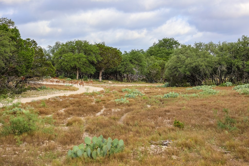 N/A County Rd 102, Ozona, Texas image 9