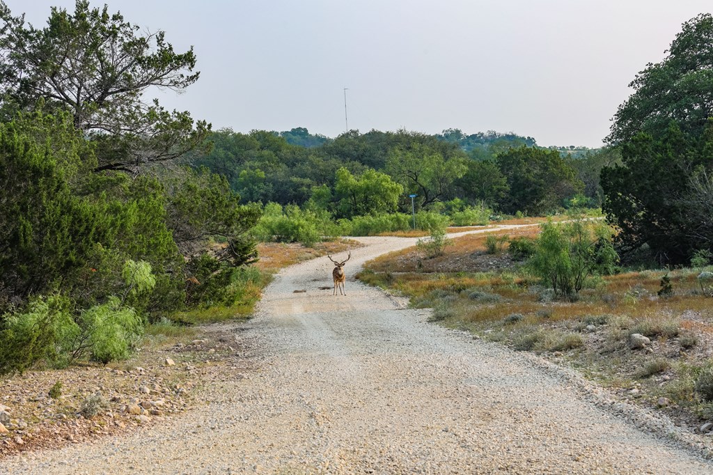 N/A County Rd 102, Ozona, Texas image 30