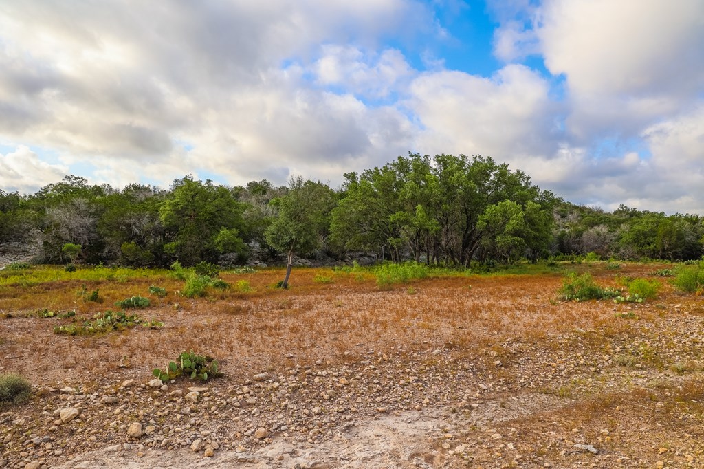 N/A County Rd 102, Ozona, Texas image 10