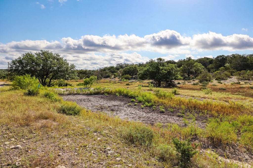 N/A County Rd 102, Ozona, Texas image 4