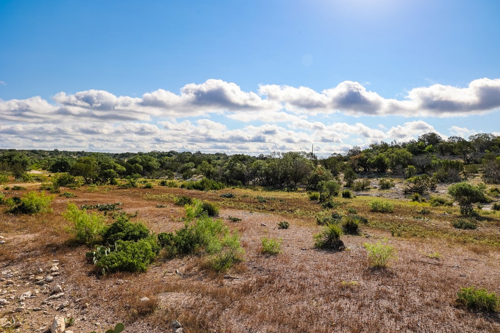 N/A County Rd 102, Ozona, Texas image 16