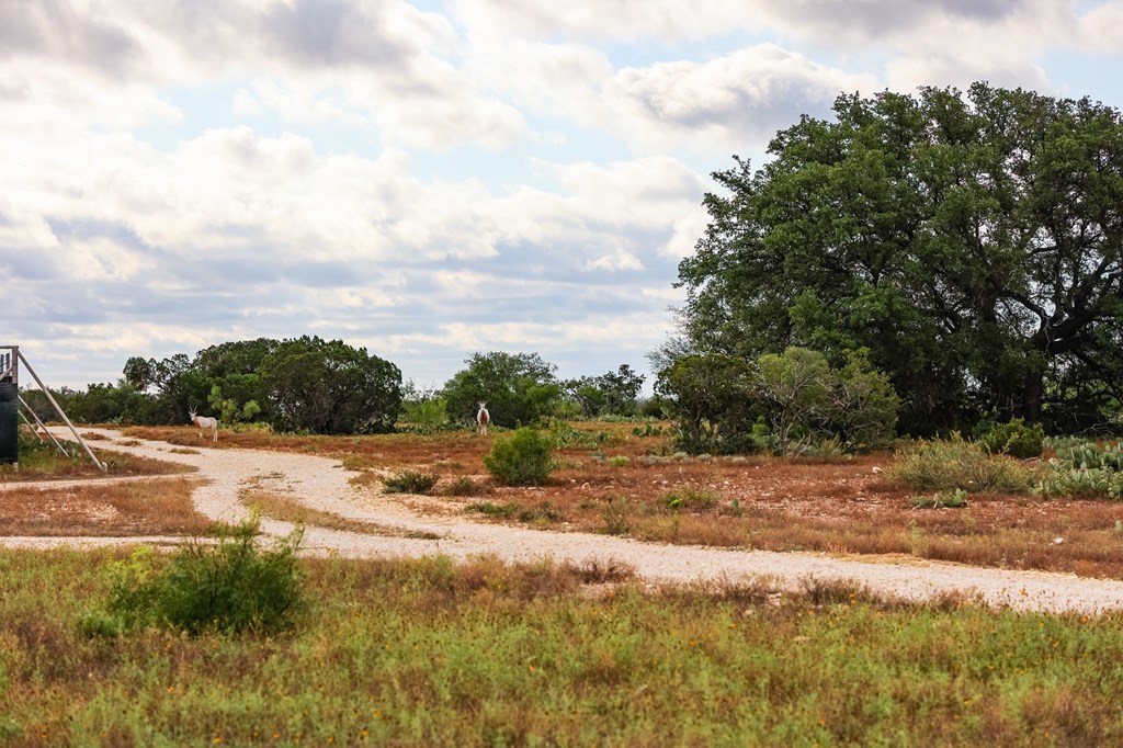 N/A County Rd 102, Ozona, Texas image 15